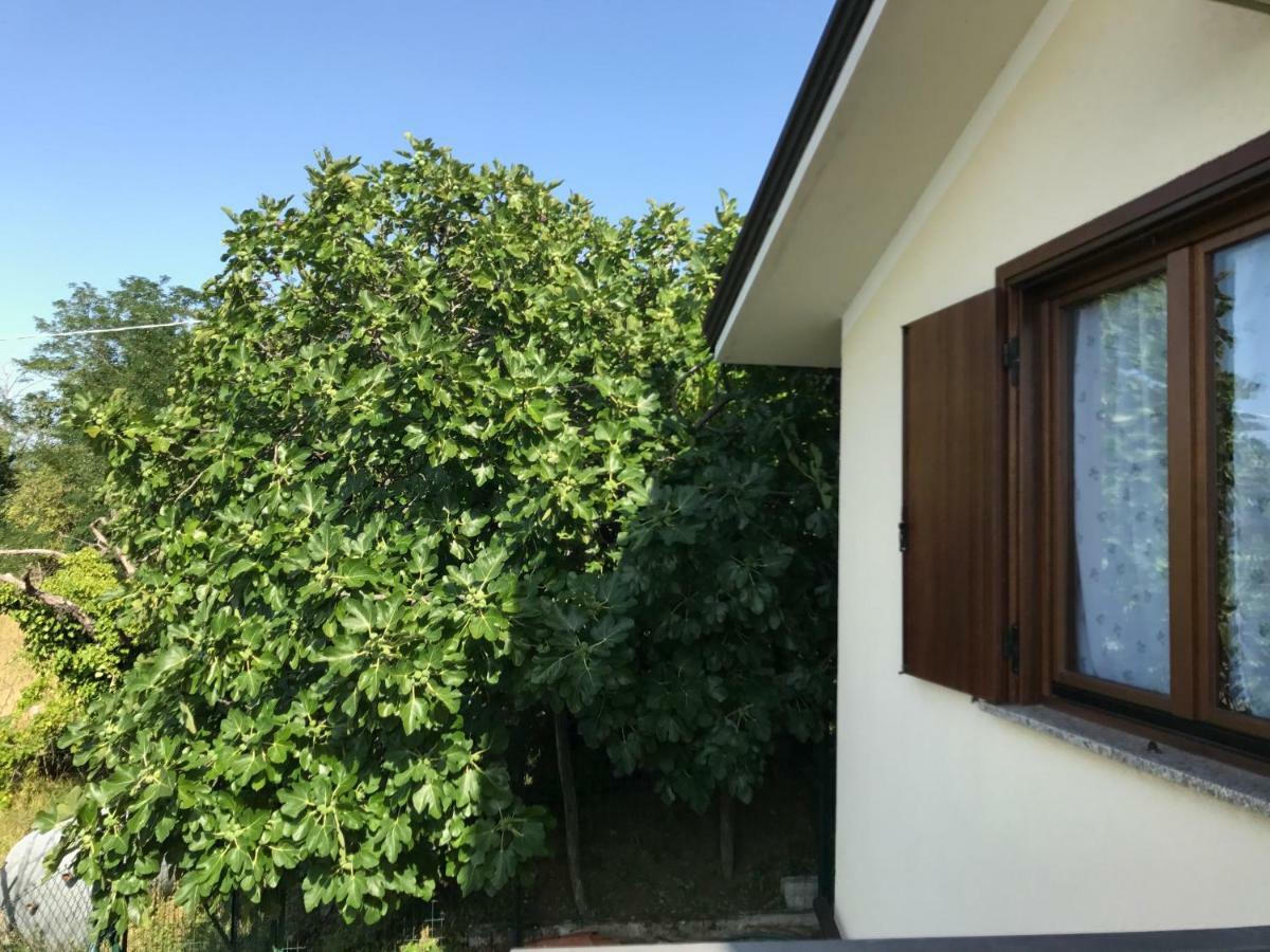 La Casa Di Nonna Bruna Múggia Eksteriør bilde