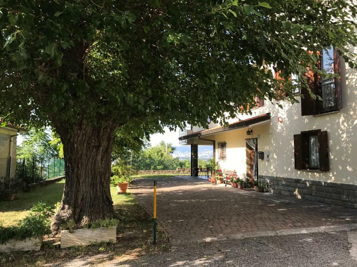 La Casa Di Nonna Bruna Múggia Eksteriør bilde